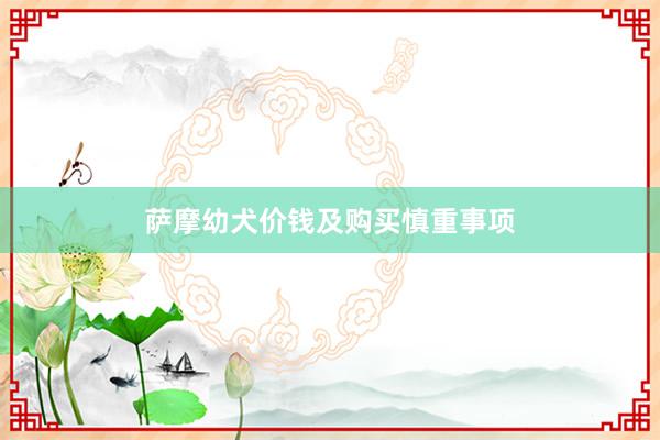 萨摩幼犬价钱及购买慎重事项
