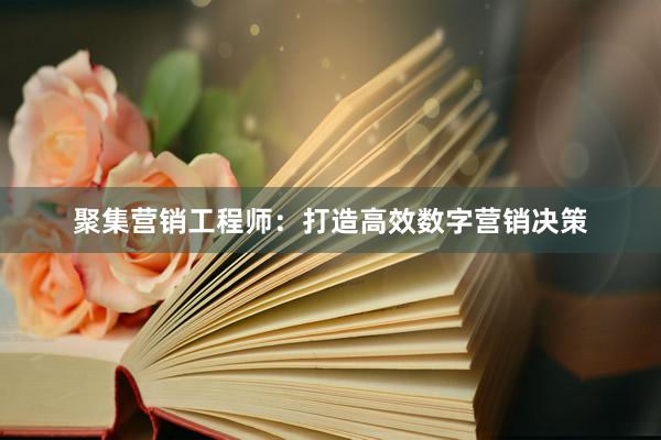 聚集营销工程师：打造高效数字营销决策