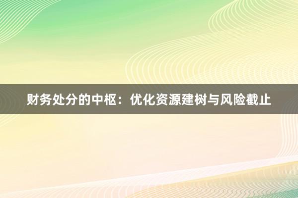 财务处分的中枢：优化资源建树与风险截止